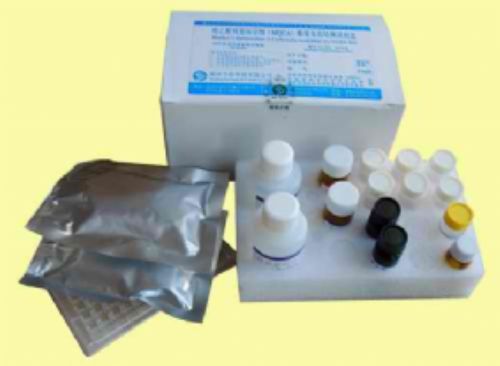 人白介素8(IL-8/CXCL8)ELISA试剂盒