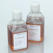 HRP标记小鼠抗eAg/MonoclonalMouseAnti-HBeAg*HRP