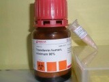 90536-74-6价格Ethyl2