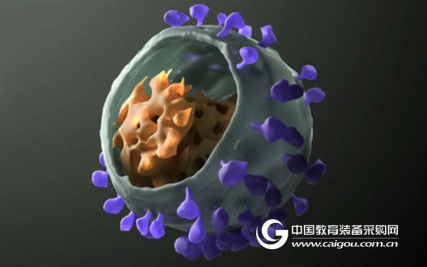Science:“3合1”新抗体,有效对抗多种HIV