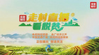 中央电视台财经频道《走村直播看脱贫》-走进宏康
