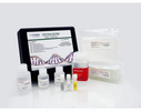 Cygnus CHO DNA Amplification Kit in Tubes D555T