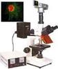正置荧光显微镜  荧光显微镜：H09057