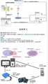 12月19日在線研討會 | 嵌入式軟件性能/資源問題解決方案