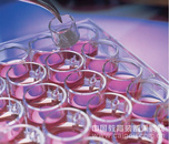PIHP03050 Millicell 插入式细胞培养皿, 30 mm, 聚碳酸酯, 0.4 μm
