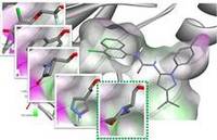 Discovery Studio 药物发现与生物大分子计算模拟平台（分子模拟、药物设计）