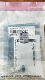CST HA-Tag (C29F4) Rabbit mAb 3724S