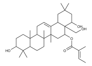 Camelliagenin A 16-tiglate
