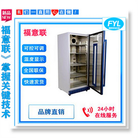 電池25℃恒溫測試箱 紐扣電池測試柜