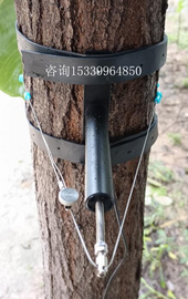 林场树木胸径生长变化记录仪