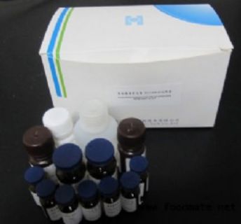 人脑红蛋白(NGB)ELISA试剂盒