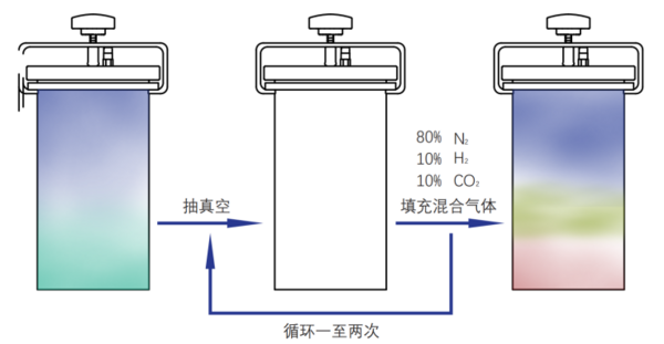 大微智能厌氧培养系统：实现厌氧菌培养