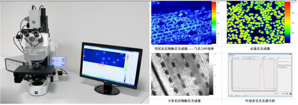 易科泰应邀参加2023年全国光合作用学术研讨会