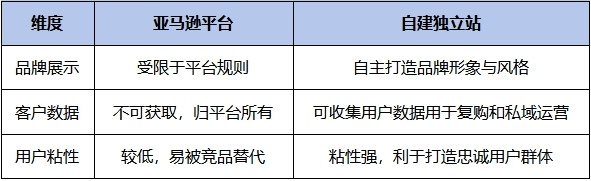 跨境电商出海：平台与独立站，谁才是未来？