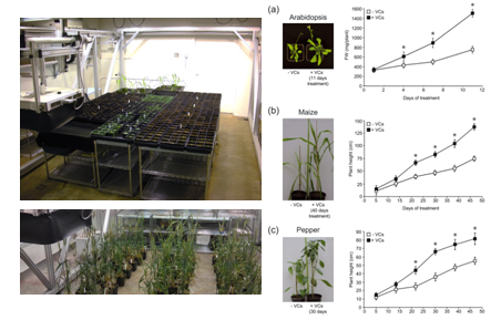 PlantScreen植物表型成像分析系统国内外用户名录