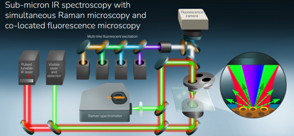 应用讲座丨清华大学分析中心亚微米分辨红外-拉曼-荧光联用系统在众多领域的应用及操作培训