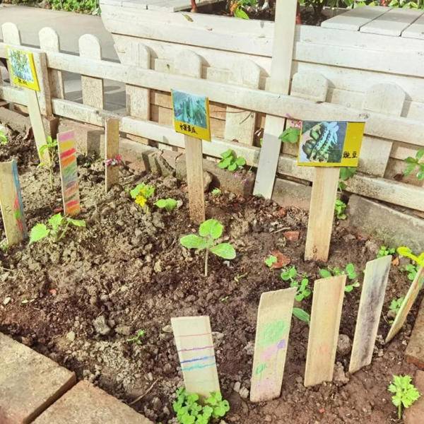 萬科幼兒園開放招生啦!創新課程活動,激發幼兒潛能從這里開始