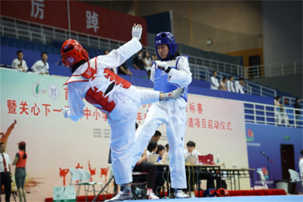 “大手牽小手”首都高等學校第19屆跆拳道錦標賽舉辦