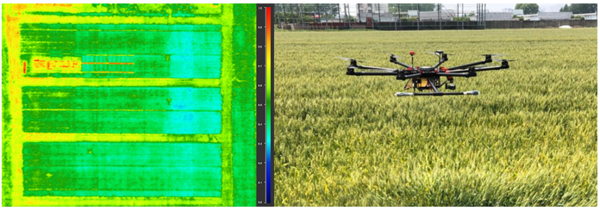 Field-based Phenotyping 大田高通量作物表型成像分析技術方案（二）