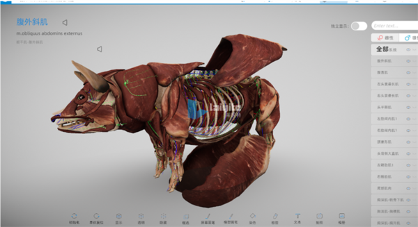 3D數字動物解剖實訓系統，譜寫動物解剖教學新篇章