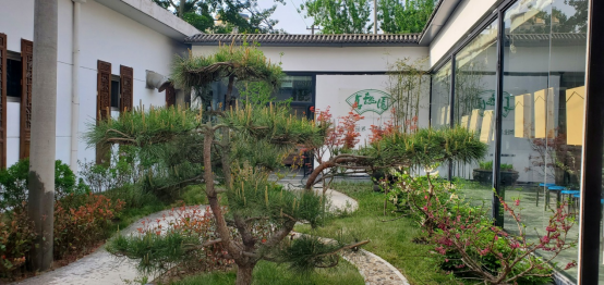 《洪荒印記 古生物化石科普展》在北京市趙登禹學校正式啟幕