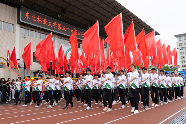 跃动青春|东北林业大学第五十六届田径暨阳光体育运动会开幕