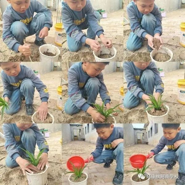 雙減 | 鄂爾多斯市特色作業歡樂多