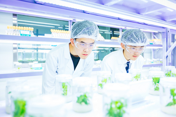 苏州私立初中多校分析：各校办学特色与择校参考