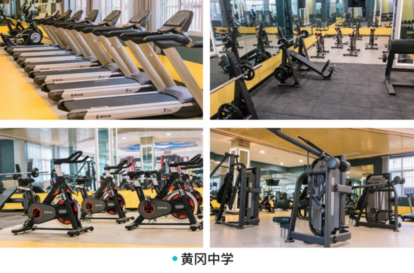 舒華體育亮相第83屆中國教育裝備展，校園智慧體育解決方案孕育未來棟梁