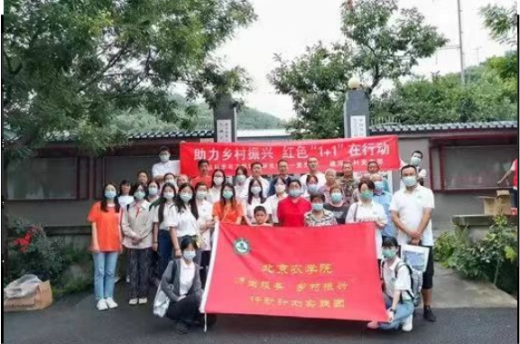 北京农学院“小荞人家”实践团赴碰河寺村助力乡村振兴