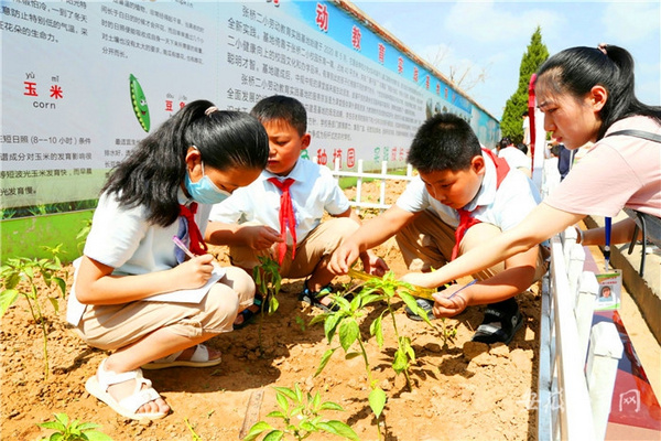 滁州定远县“四线联动”助力劳动教育提质增效促发展