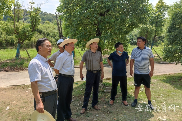 提升办学条件 优化校园环境 池州学院暑期推进基建项目和维修改造工程32项