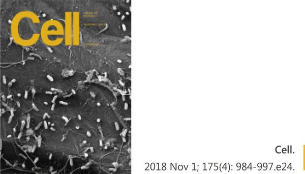 MCE 產品發表高分文章錦集 | MedChemExpress