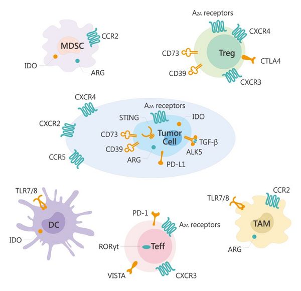 FDA-Approved Mini & Immuno-Oncology Library | MedChemExpress