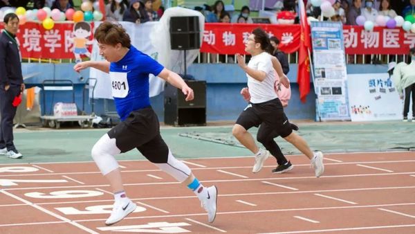 北京高校春季運動會精彩來襲