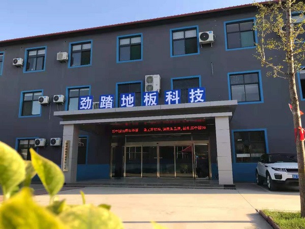 勁踏地板助力2025WTT常規挑戰賽 以專業品質賦能國際乒壇盛事