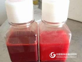 大牛血清(无菌过滤)价格