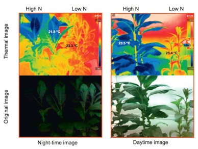 WIC红外热成像技术方案（植物科学）