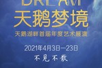 天鹅湖畔首届年度艺术展演——《天鹅梦境》演出预告