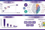 昂立STEM-CODEMAKER幼兒編程新課程升級發布
