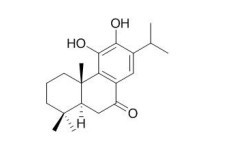 11-羥基柳杉酚,11-hydroxy-sugiol