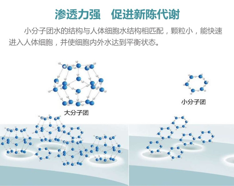 小分子活性水开水器